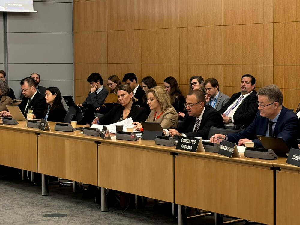 Minister Ivanov Attends Meeting of OECD's Regional Development Policy Committee in Paris