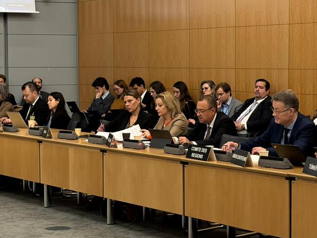 Minister Ivanov Attends Meeting of OECD's Regional Development Policy Committee in Paris