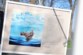 Бургас - „Библейски истории в картини“ - изложба