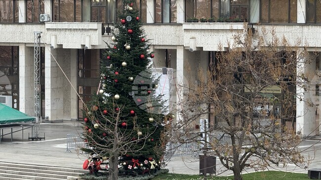 Светлините на коледната елха ще грейнат тази вечер в Русе