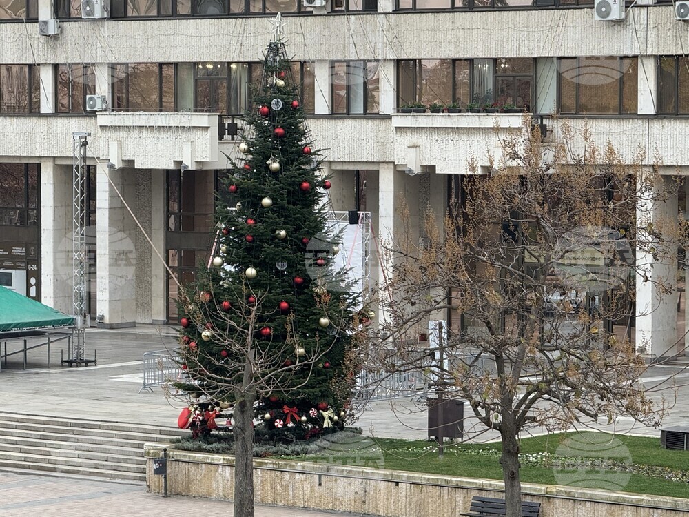 Светлините на коледната елха ще грейнат тази вечер в Русе