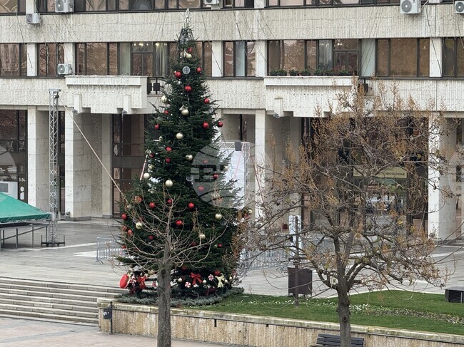 Светлините на коледната елха ще грейнат тази вечер в Русе