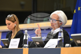 Belgium Russia Ukraine War