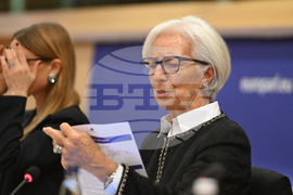 Belgium Russia Ukraine War