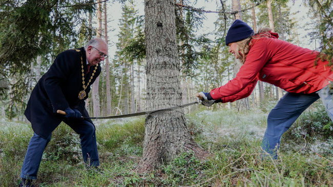Традицията коледната елха на площад Трафалгар в Лондон да идва от Норвегия е установена още през 1947 година