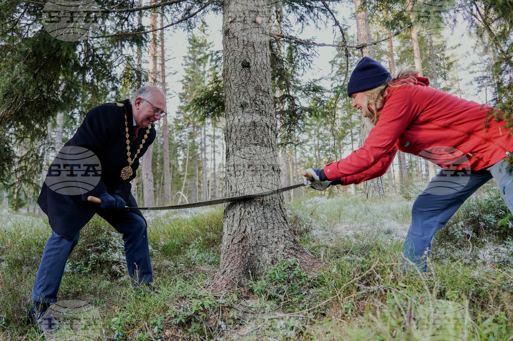 Традицията коледната елха на площад Трафалгар в Лондон да идва от Норвегия е установена още през 1947 година