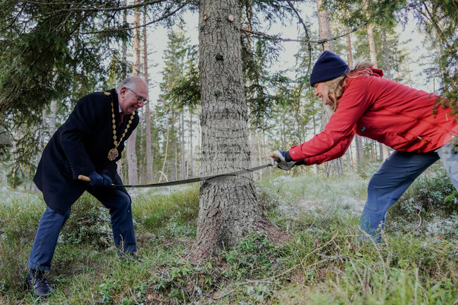 Традицията коледната елха на площад Трафалгар в Лондон да идва от Норвегия е установена още през 1947 година