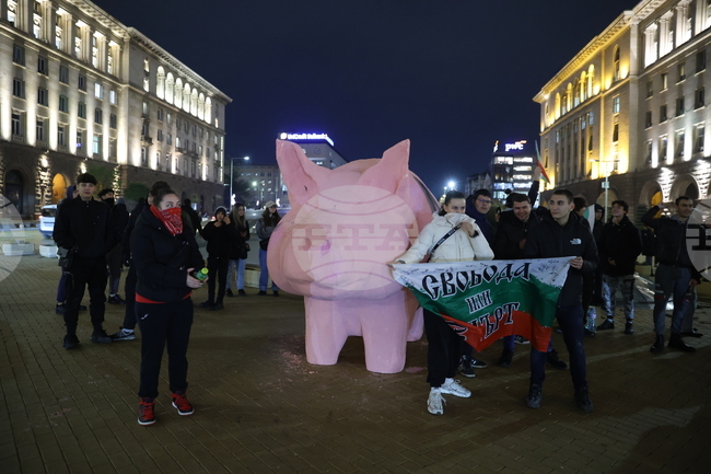 Мирно приключи протестът пред Министерския съвет срещу правителството