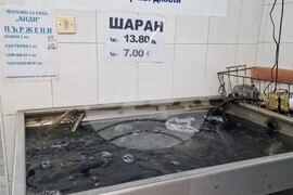 Хасково - риба - Никулден