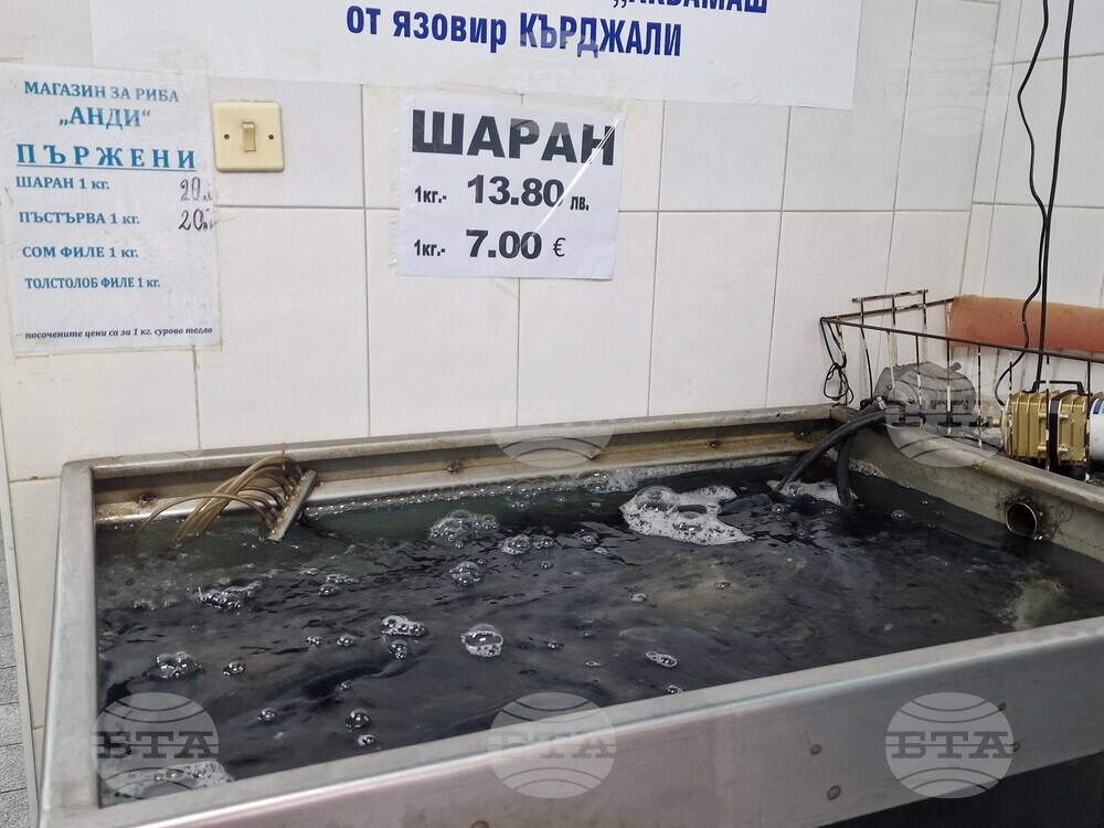 Хасково - риба - Никулден