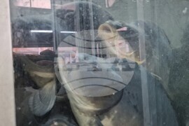 Хасково - риба - Никулден