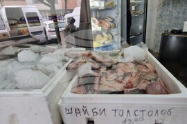 Хасково - риба - Никулден