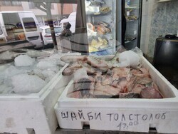 Хасково - риба - Никулден