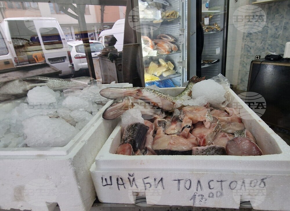 Хасково - риба - Никулден