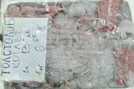 Хасково - риба - Никулден