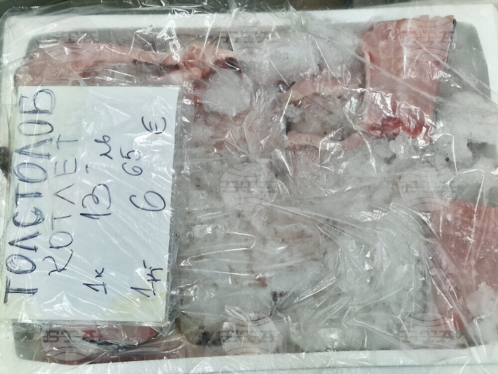 Хасково - риба - Никулден