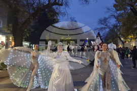 Стара Загора -  Коледна елха