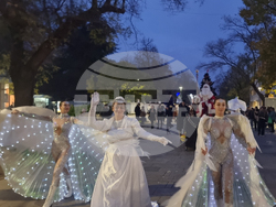 Стара Загора -  Коледна елха