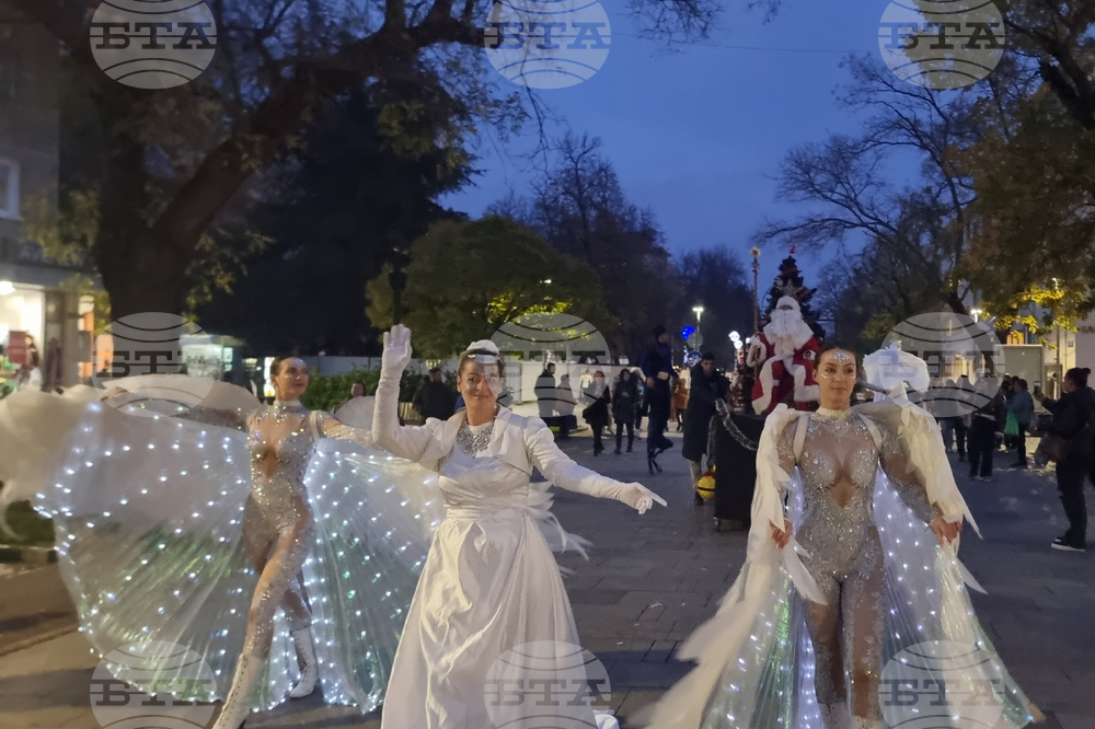 Стара Загора -  Коледна елха