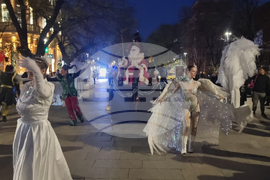 Стара Загора -  Коледна елха