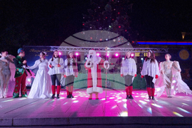 Стара Загора -  Коледна елха