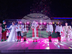 Стара Загора -  Коледна елха