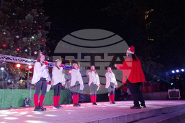 Стара Загора -  Коледна елха