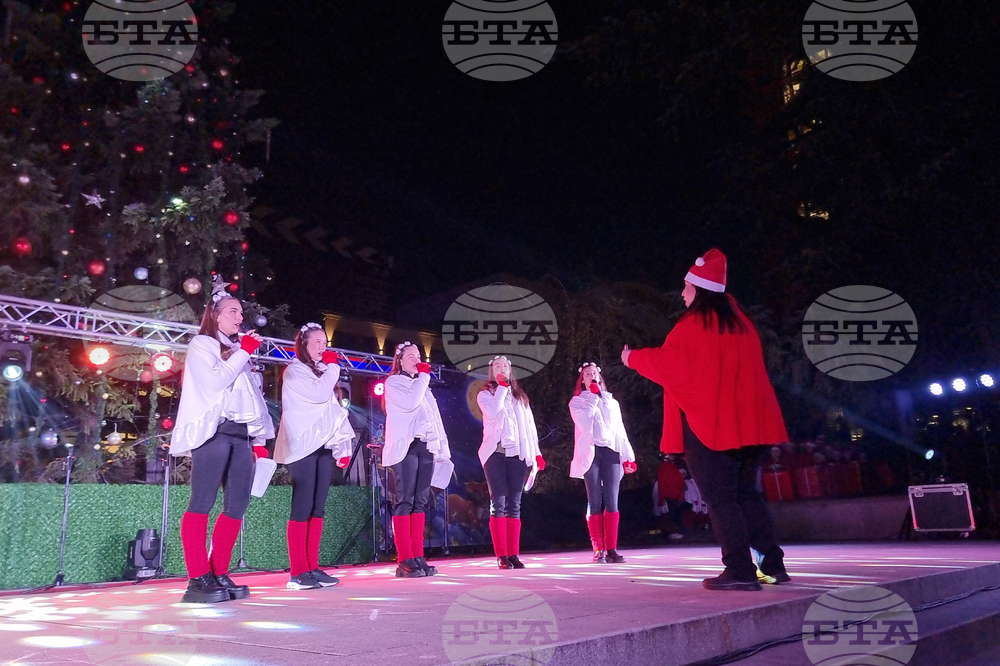 Стара Загора -  Коледна елха