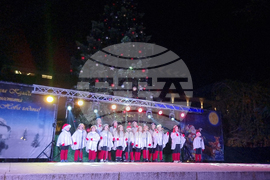 Стара Загора -  Коледна елха