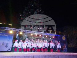 Стара Загора -  Коледна елха