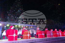 Стара Загора -  Коледна елха