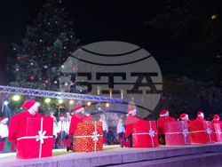 Стара Загора -  Коледна елха