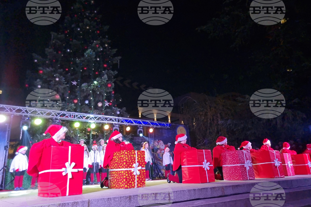 Стара Загора -  Коледна елха