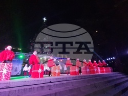 Стара Загора -  Коледна елха