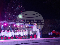 Стара Загора -  Коледна елха