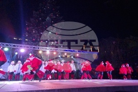 Стара Загора -  Коледна елха