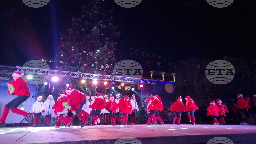 Стара Загора -  Коледна елха