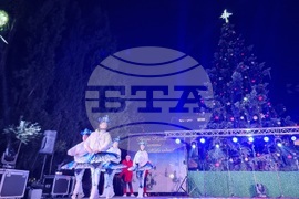 Стара Загора -  Коледна елха