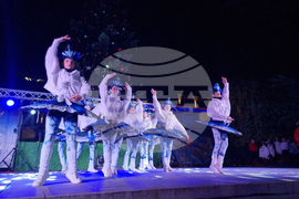 Стара Загора -  Коледна елха