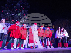 Стара Загора -  Коледна елха