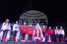 Стара Загора -  Коледна елха