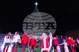 Стара Загора -  Коледна елха