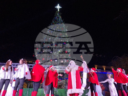 Стара Загора -  Коледна елха