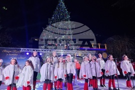 Стара Загора -  Коледна елха