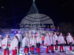 Стара Загора -  Коледна елха