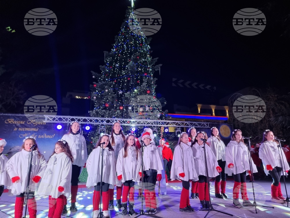 Стара Загора -  Коледна елха