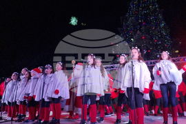 Стара Загора -  Коледна елха