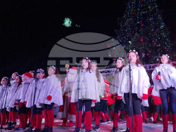 Стара Загора -  Коледна елха