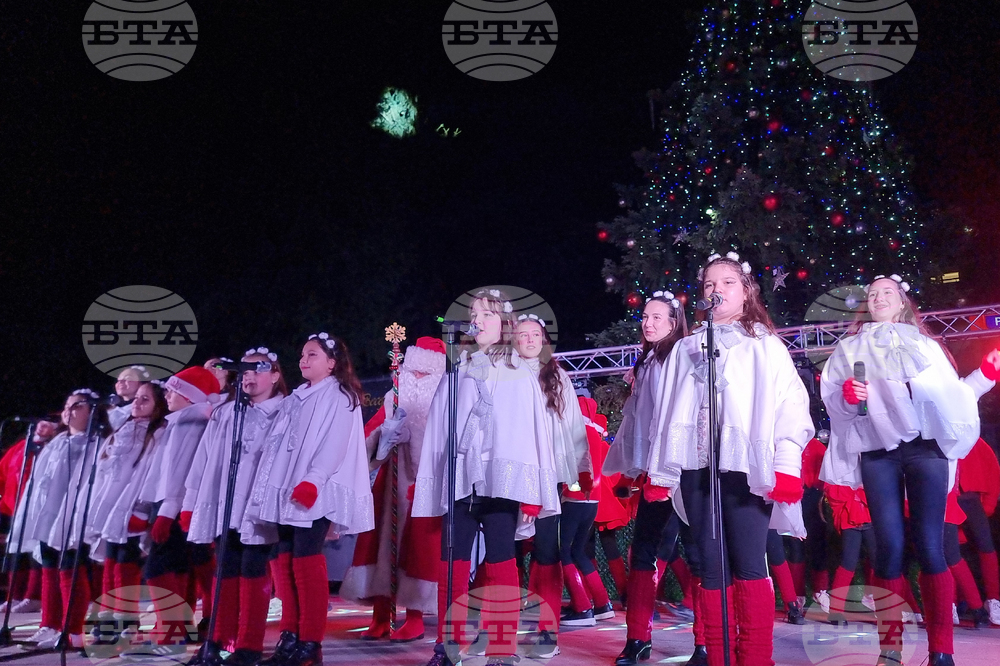 Стара Загора -  Коледна елха