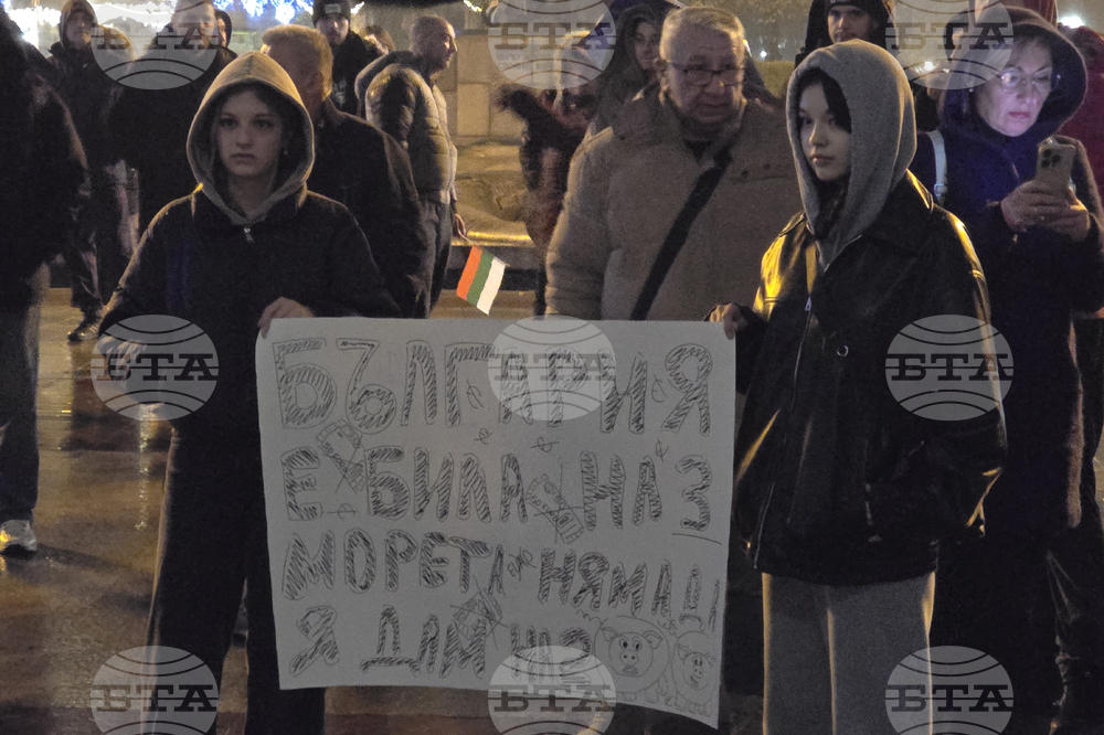 Видин - протест срещу правителството